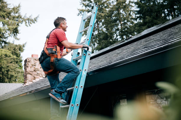 Best Asphalt Shingle Roofing  in Nanakuli, HI